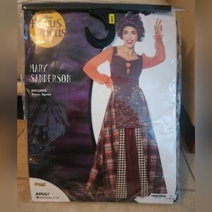 Hocus Pocus Mary Sanderson Costume Ladies Size Medium Halloween Disney Witch